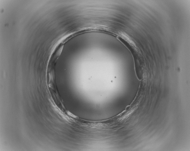 X0000070210940200606161638