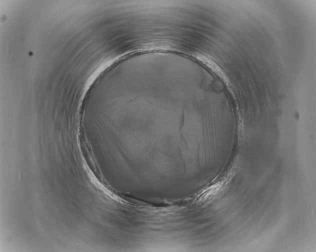 X0000070210941200606161638