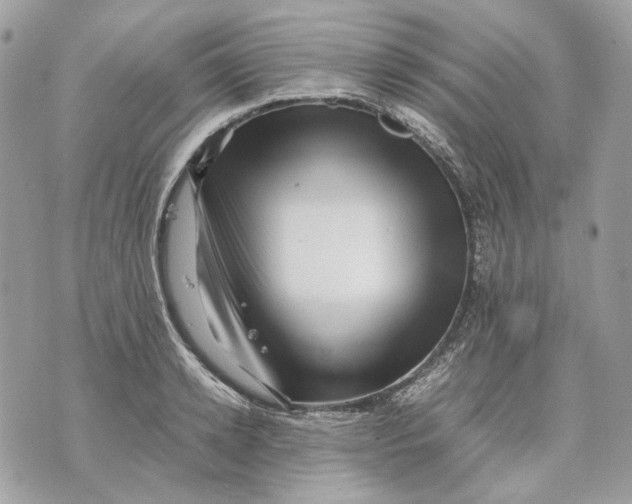 X0000070210942200606161638