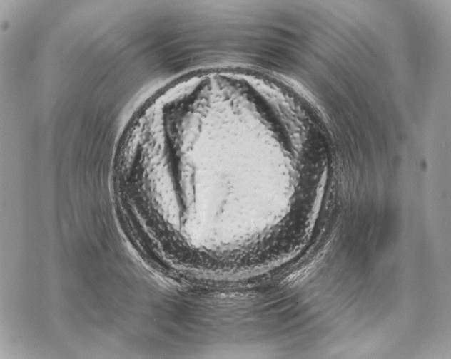 X0000070210943200606161638