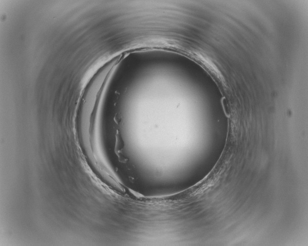 X0000070210944200606161638