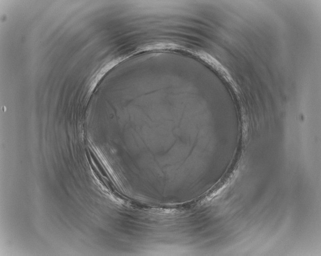 X0000070210945200606161638