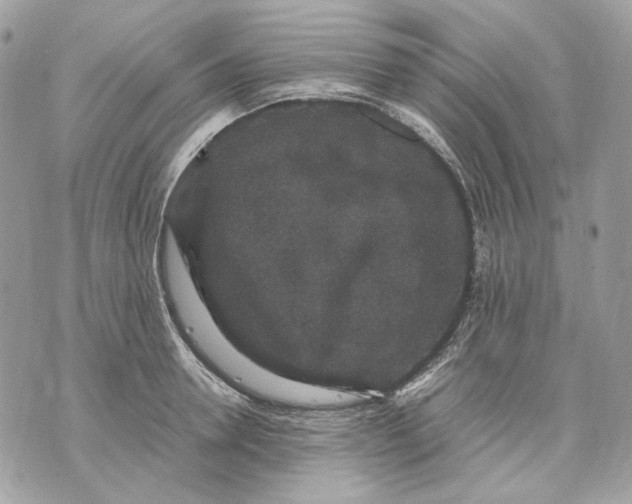 X0000070210946200606161638