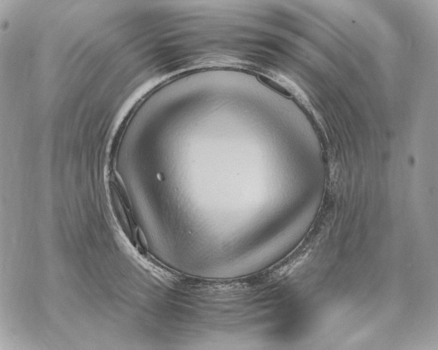 X0000070210947200606161638