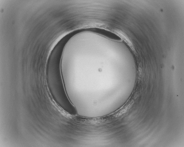 X0000070210948200606161638