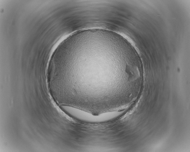 X0000070210949200606161638