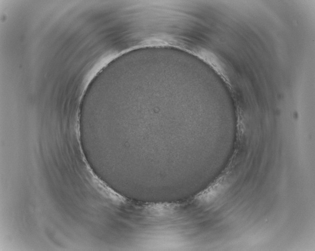 X0000070210950200606161638