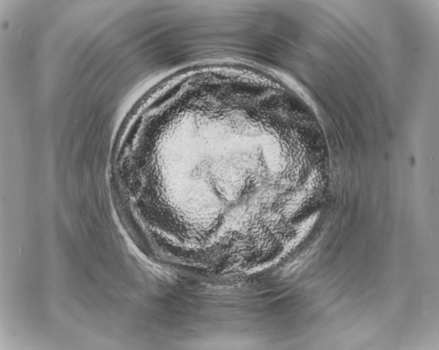 X0000070210951200606161638