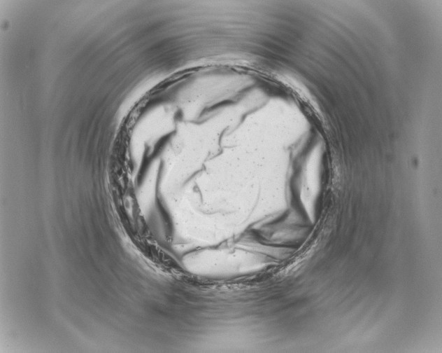 X0000070210952200606161638