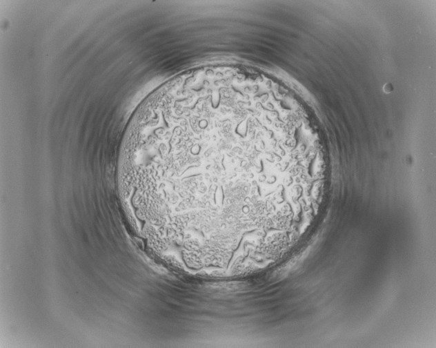 X0000070210953200606161638