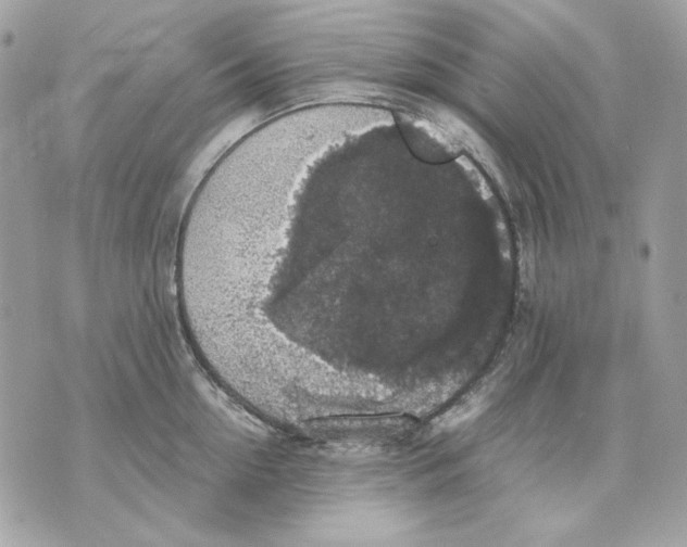 X0000070210954200606161638