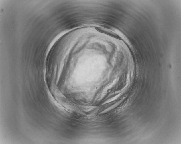 X0000070210955200606161638