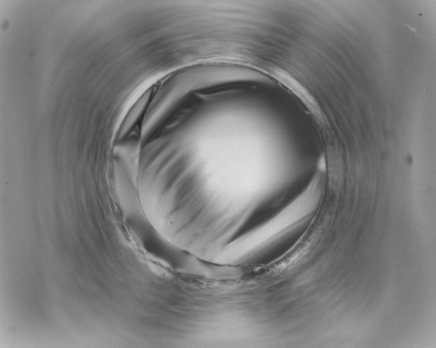 X0000070210956200606161638