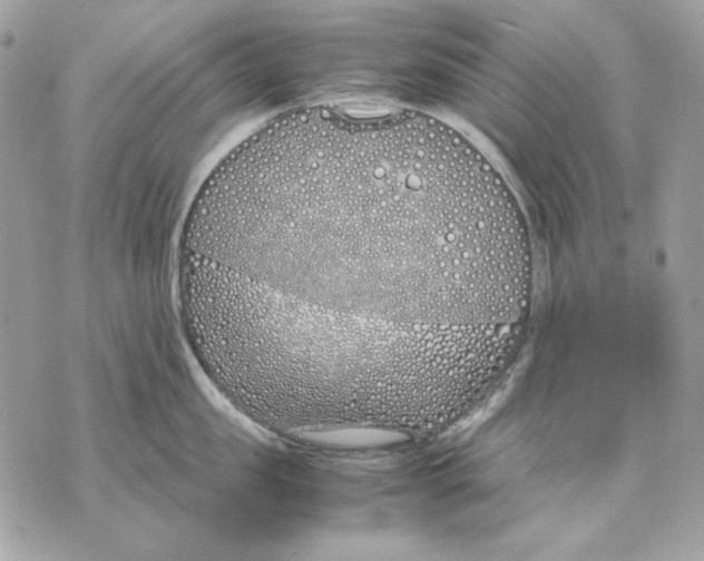 X0000070210957200606161638