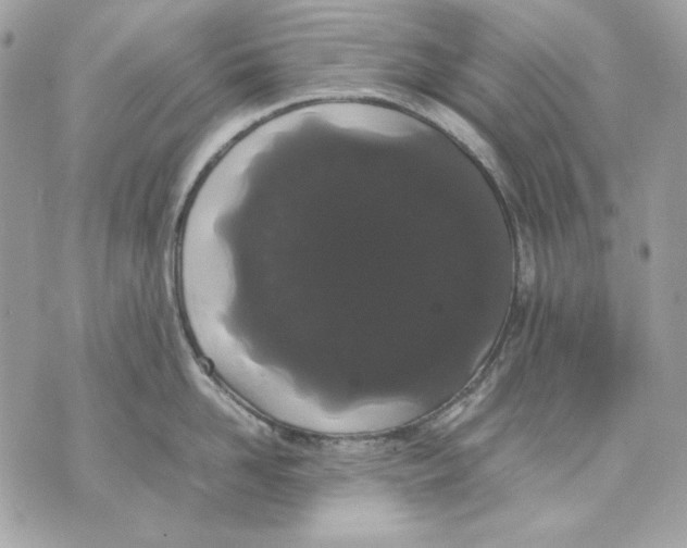 X0000070210958200606161638