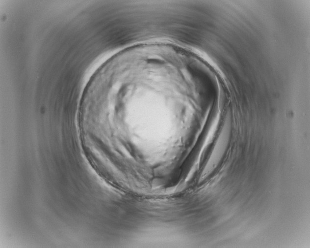 X0000070210959200606161638