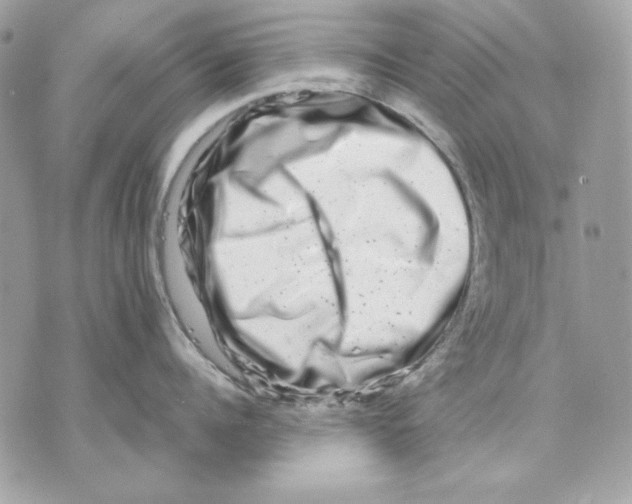 X0000070210960200606161638