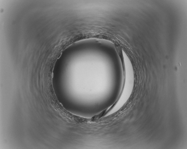 X0000070210961200606161637