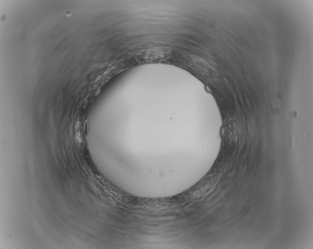 X0000070210962200606161637