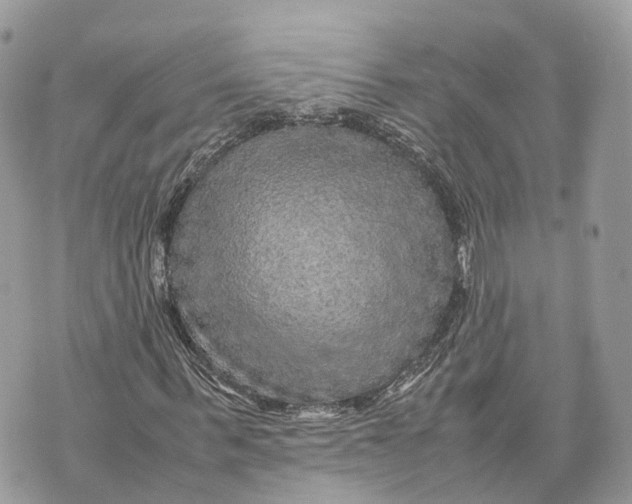 X0000070210963200606161637