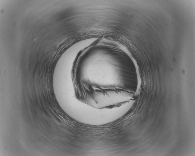 X0000070210964200606161637