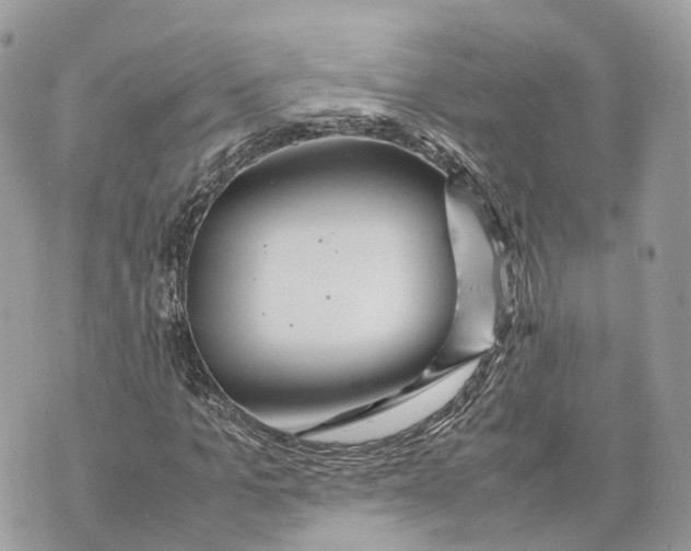 X0000070210965200606161637