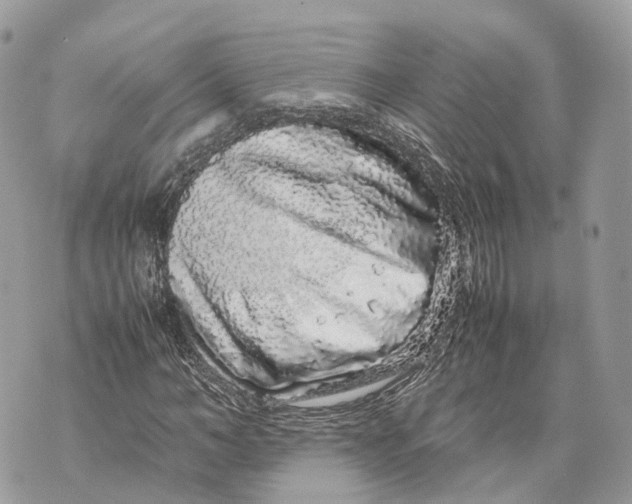 X0000070210966200606161637