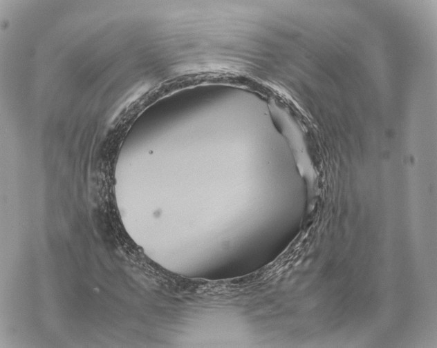 X0000070210967200606161637