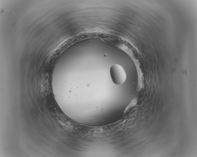 X0000070210968200606161637