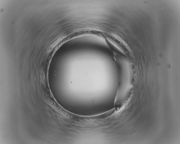 X0000070210969200606161637