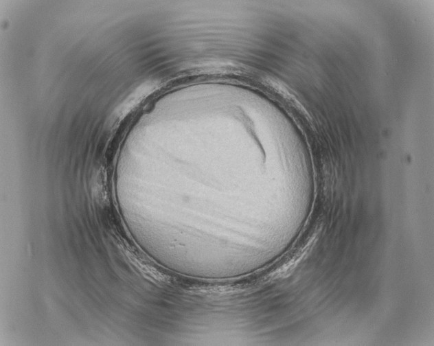 X0000070210970200606161637