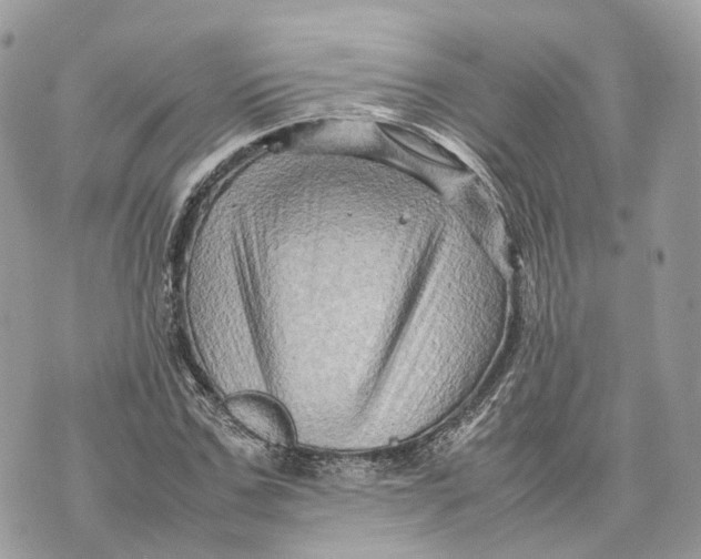 X0000070210971200606161637