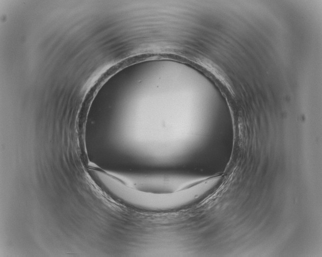 X0000070210972200606161637