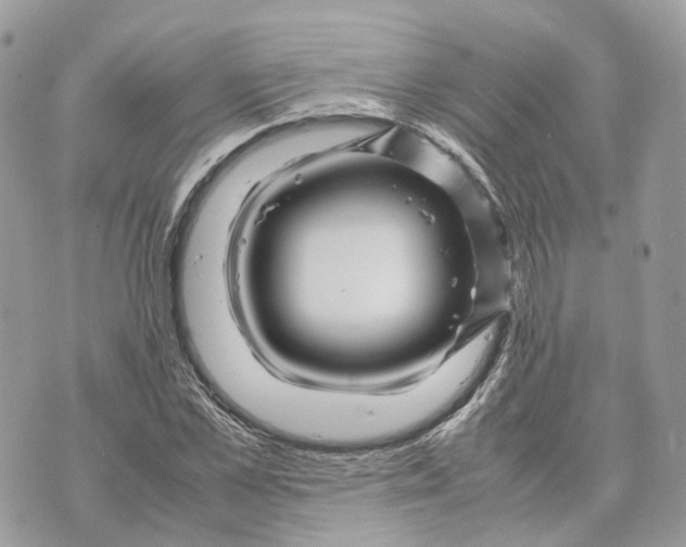 X0000070210973200606161637