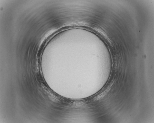 X0000070210974200606161637