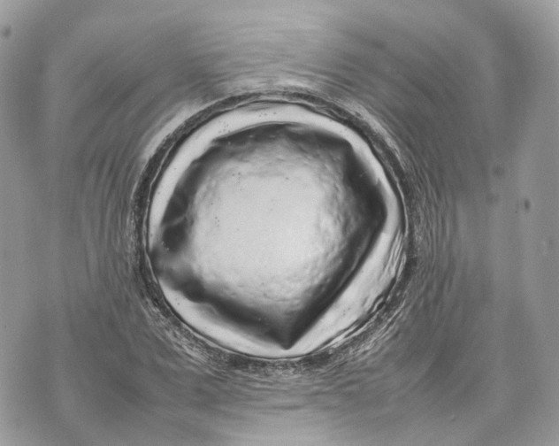 X0000070210975200606161637