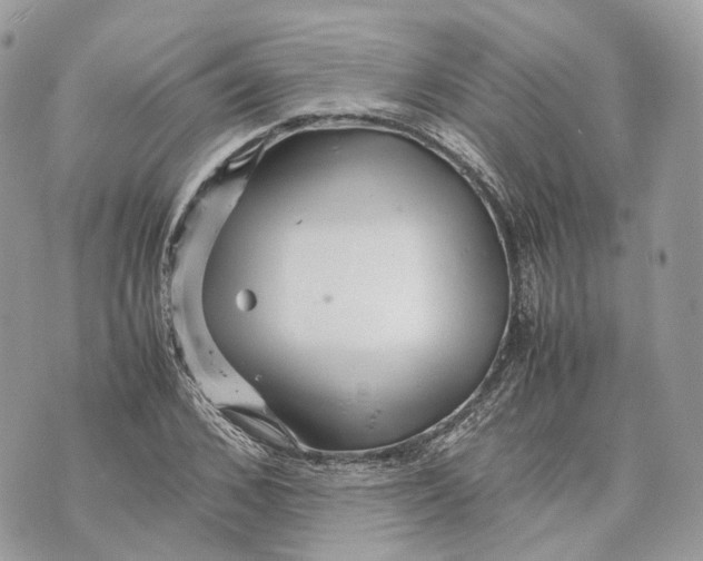 X0000070210976200606161637