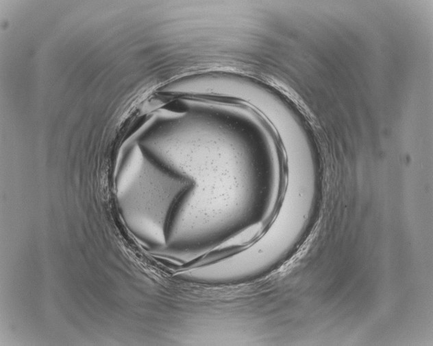 X0000070210977200606161637