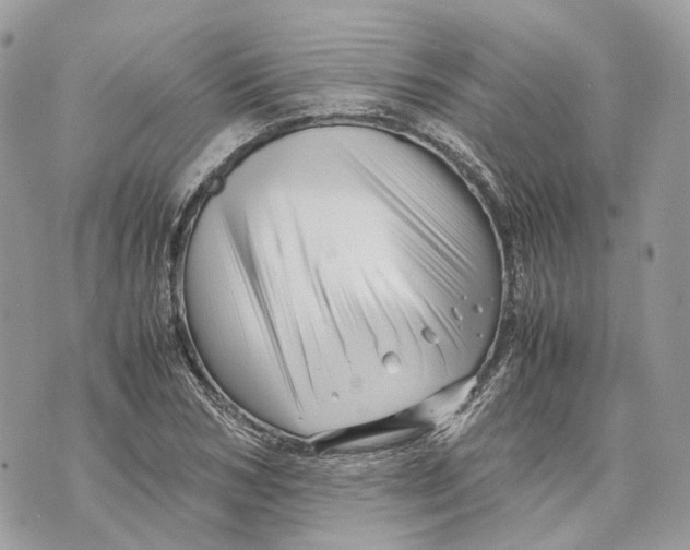 X0000070210978200606161637