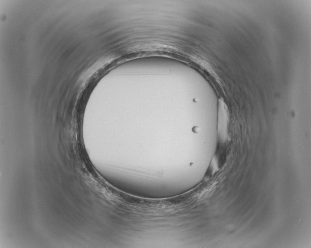 X0000070210979200606161637