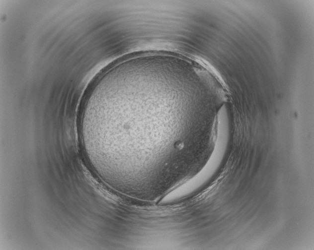 X0000070210980200606161637