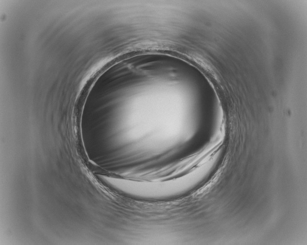 X0000070210981200606161637