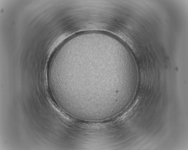 X0000070210982200606161637