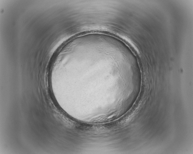 X0000070210983200606161637