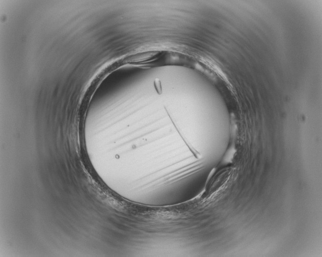 X0000070210984200606161637