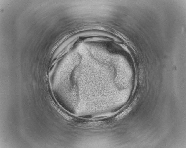 X0000070210985200606161637