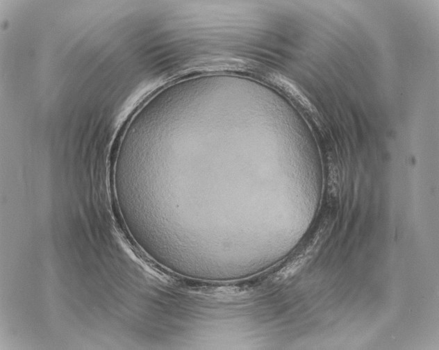 X0000070210986200606161637