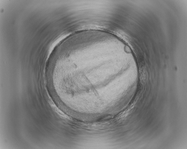 X0000070210987200606161637