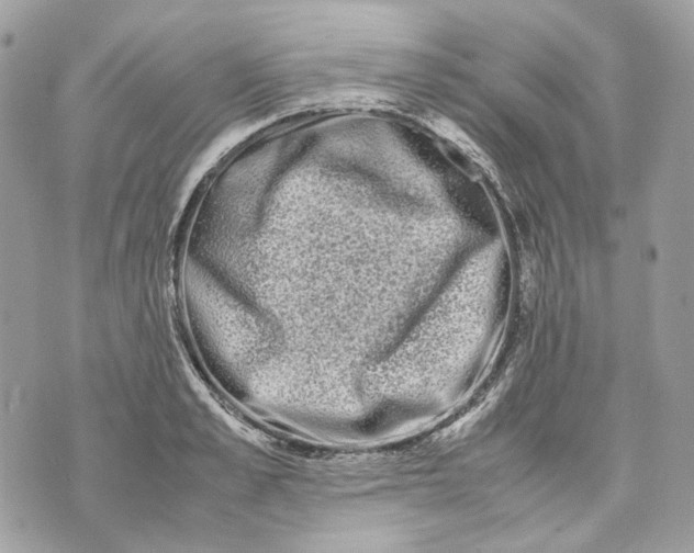 X0000070210989200606161637