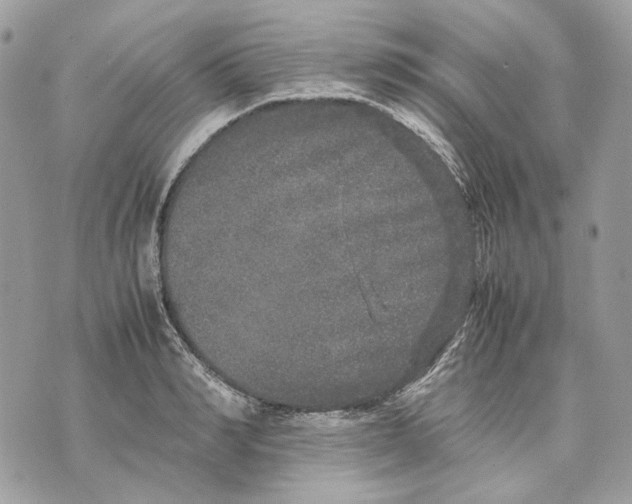 X0000070210990200606161637